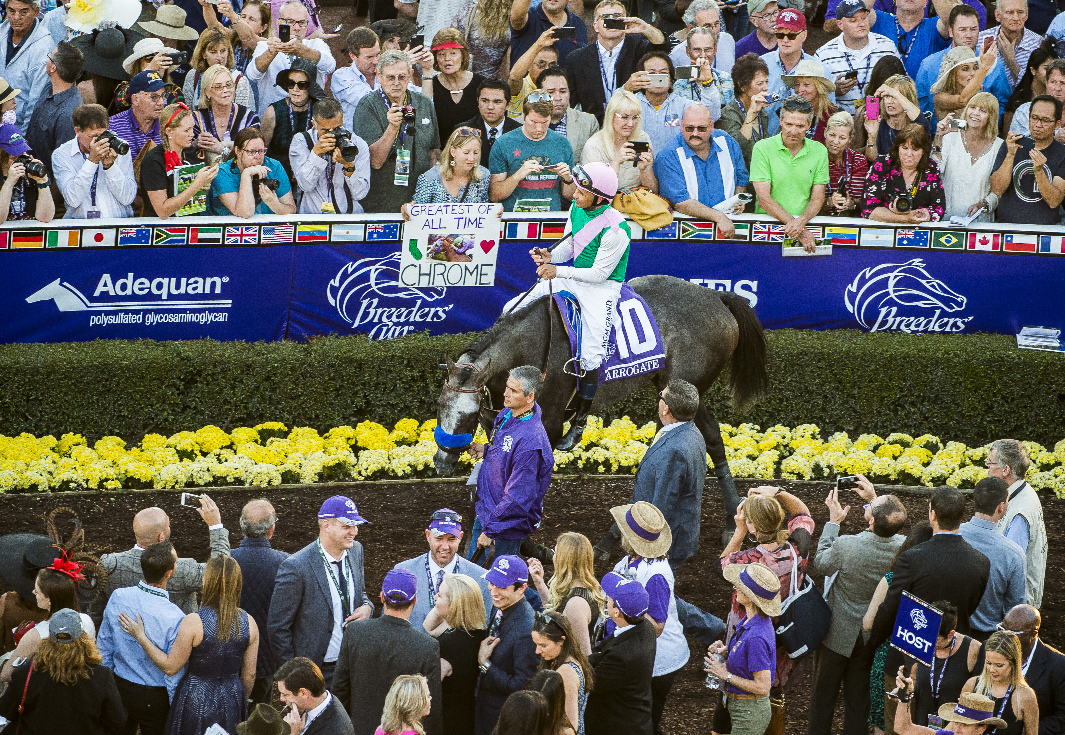 Breeders Cup Classic Arrogate 7 Breeders Cup Photography